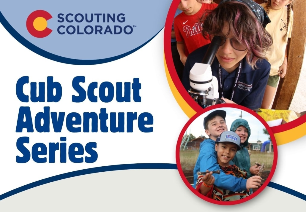 cub adventure series